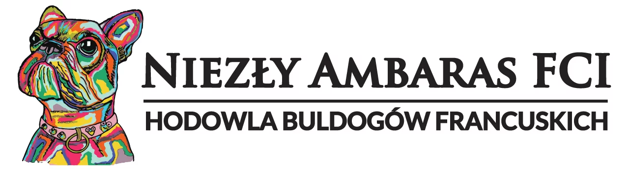 Niezły Ambaras